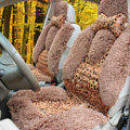 Winter Leopard grain Fleece Car Seat Cushion Warm Plush Auto Seat Covers - Coffee