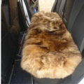 High Quality Wool Universal Car Seat Cushion Winter Fur One Piece Long Pads 1pcs - Brown