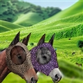 2PCS Leopard Print Spandex Mosquito Repellent Summer Breathable Horse Fly Mask With Ears Horse Supplies - Brown + Purple