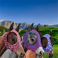 3Piece Face Mask Horse Fly Masks Set Comfortable Smooth Spandex Mosquito Insect Resistant Equine Face Covering - A 3PCS