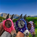 3Piece Face Mask Horse Fly Masks Set Comfortable Smooth Spandex Mosquito Insect Resistant Equine Face Covering - B 3PCS