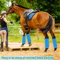 Adjustable Horse Leg Boots Breathable Mesh Polyester Equine Guards Insect-Repellent Wraps Reduced Fatigue Equestrian Gear - Blue