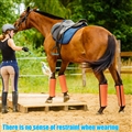 Adjustable Horse Leg Boots Breathable Mesh Polyester Equine Guards Insect-Repellent Wraps Reduced Fatigue Equestrian Gear - Orange