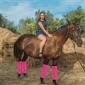 Adjustable Horse Leg Boots Breathable Mesh Polyester Equine Guards Insect-Repellent Wraps Reduced Fatigue Equestrian Gear - Pink