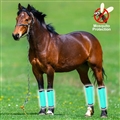 Durable Horse Leg Boots Breathable Mesh Polyester Horse Fly Boots Reduced Fatigue Equestrian Gear - Green