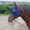 Horse Eye Protection Hood Shatterproof Windproof Sand Prevention Flexible Lens Corneal Ulcers Eye Injuries Horse Fly Mask - Mesh Blue