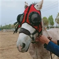 Horse Eye Protection Hood Shatterproof Windproof Sand Prevention Flexible Lens Corneal Ulcers Eye Injuries Horse Fly Mask - Mesh Red