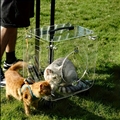 Luxury Portable Pet Strollers With Wheels Durable Acrylic PC Closure For Cats Dogs Bags Ideal For Travel Outdoor Use - Transparent