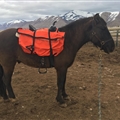 Multi-Purpose Horse Horse Storage Bag Equestrian Saddle Bag With Water Bottle Holder Durable Oxford Fabric Fit For Riders - Orange