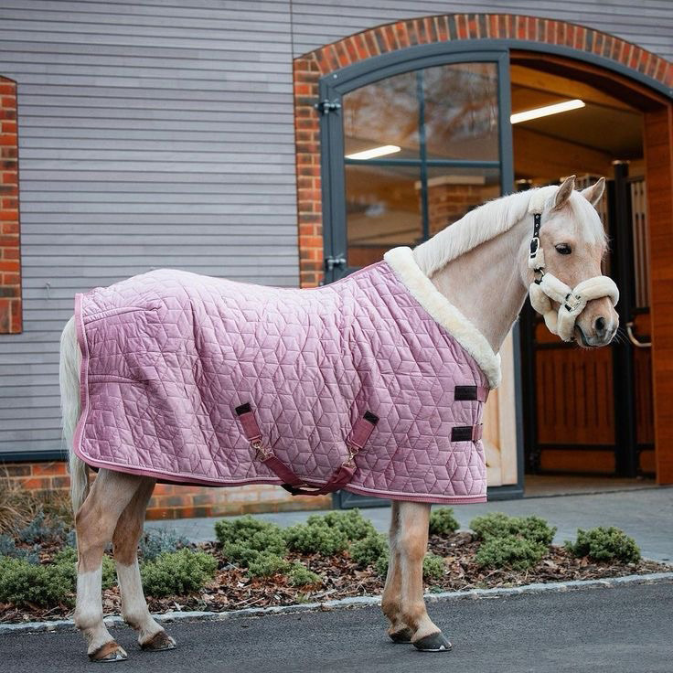 Adjustable Velvet Rug Horse Care Blanket Detachable Neck Cover Winter Keep Warm Equestrian Gear With Comfort Thickened - Pink