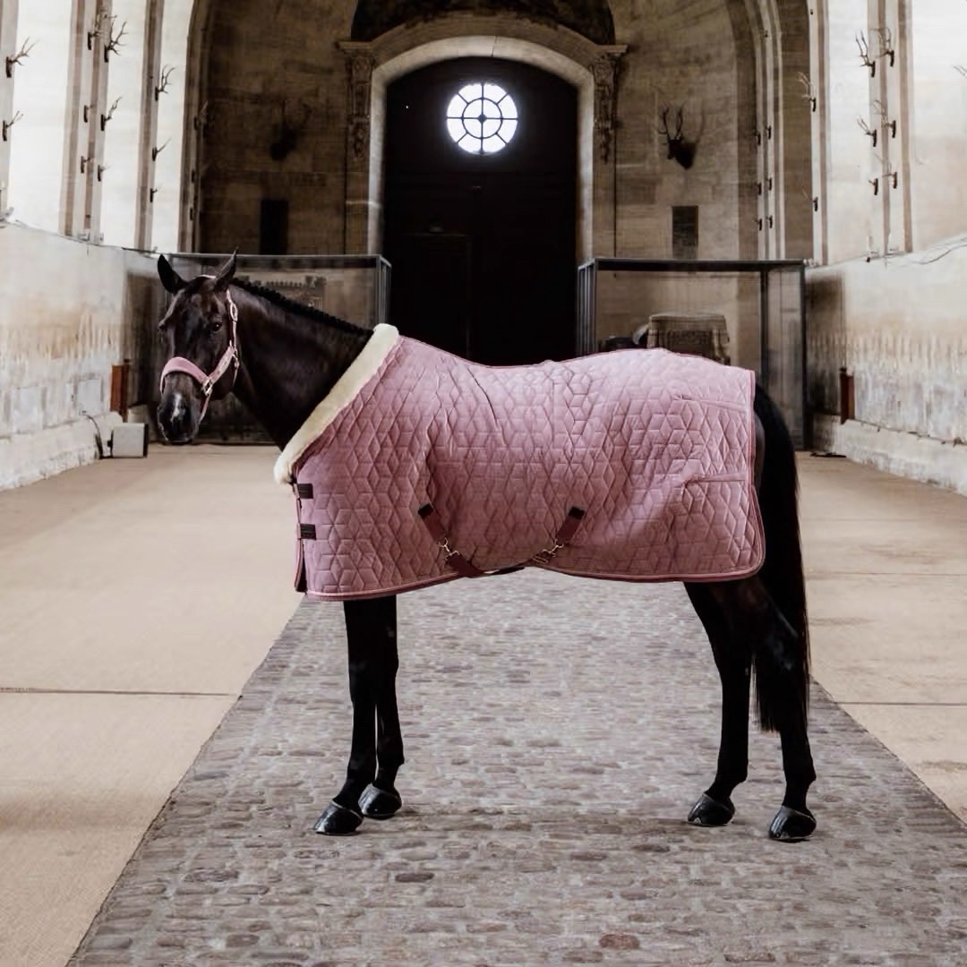Adjustable Velvet Rug Horse Care Blanket Detachable Neck Cover Winter Keep Warm Equestrian Gear With Comfort Thickened - Pink