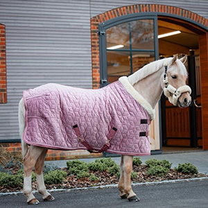 Adjustable Velvet Rug Horse Care Blanket Detachable Neck Cover Winter Keep Warm Equestrian Gear With Comfort Thickened - Pink